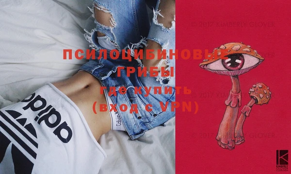 скорость Новодвинск