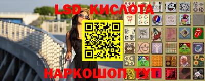 гашик Берёзовский