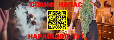 гашик Берёзовский