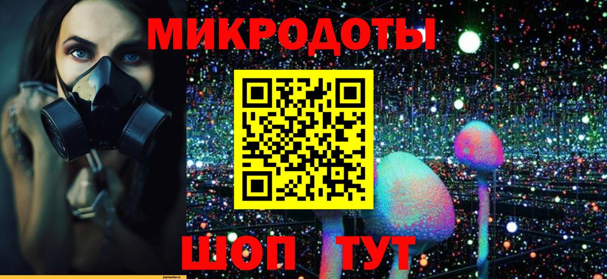 купить наркотики сайты  Реутов  Псилоцибиновые грибы MAGIC MUSHROOMS  Галлюциногенные грибы Cubensis 