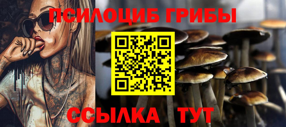 Галлюциногенные грибы GOLDEN TEACHER  Вход с VPN  Реутов 