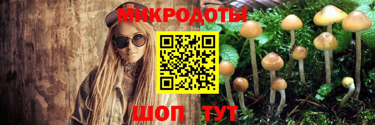Псилоцибиновые грибы Psilocybine cubensis Реутов